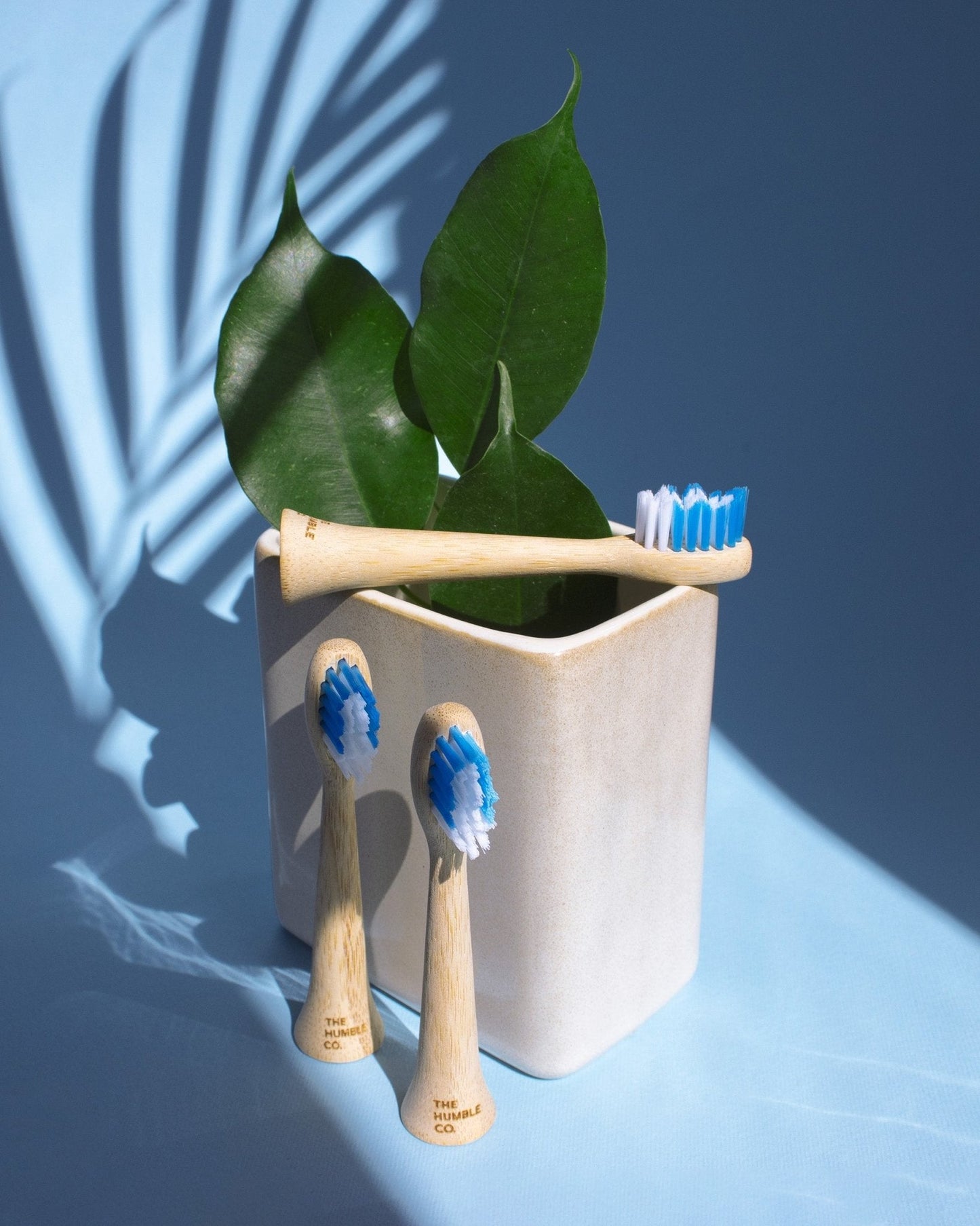 Electric Bamboo Replaceable Head - 3 pack - humble-usa