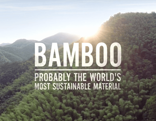 A Small Tribute to Bamboo - humble-usa