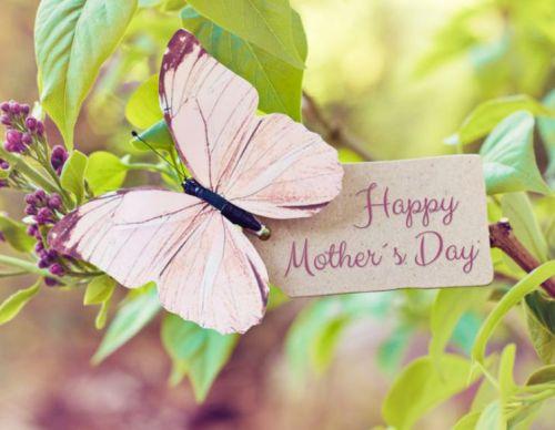 Upcycled Mother’s Day Gift Ideas - humble-usa