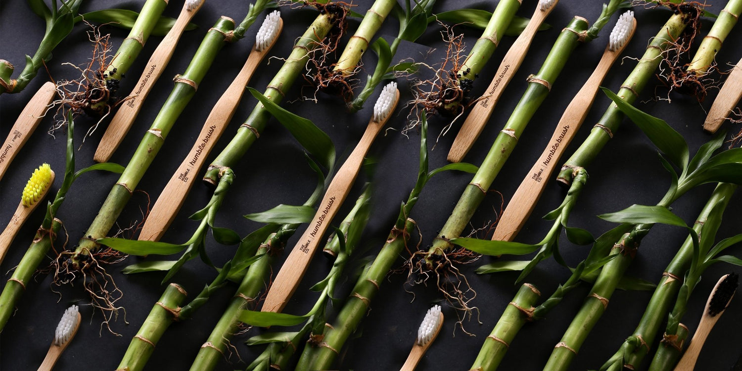 interdental cleaning | humble-usa