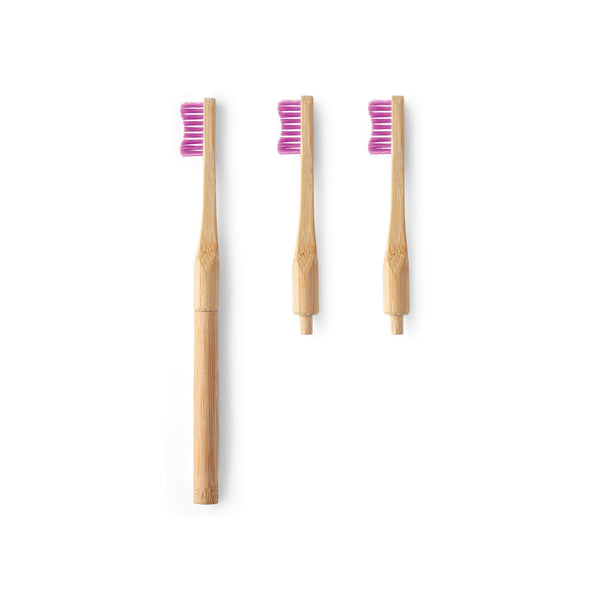 Humble Brush Adult - Replaceable head - Purple - humble-usa