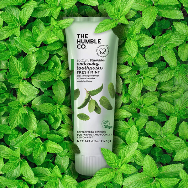Natural Toothpaste – Fresh Mint with fluoride - humble-usa